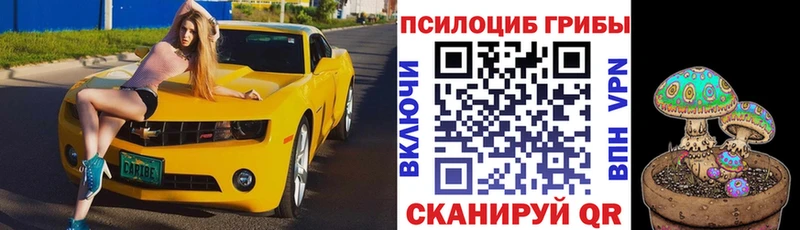 mega зеркало Харабали Псилоцибиновые грибы прущие грибы как найти наркотики